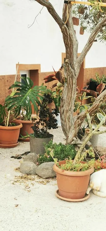 Séjour à la campagne Maison d'hôtes Kikiki House à Puerto del Rosario  Espagne